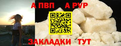 мет Кингисепп