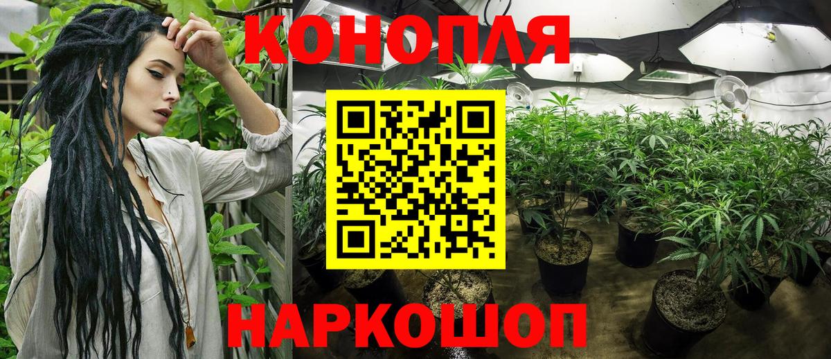 Бошки Шишки тримм Электрогорск
